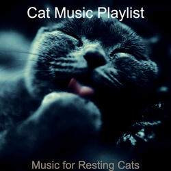 Astounding Moods for Cats