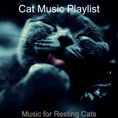 Music for Resting Cats