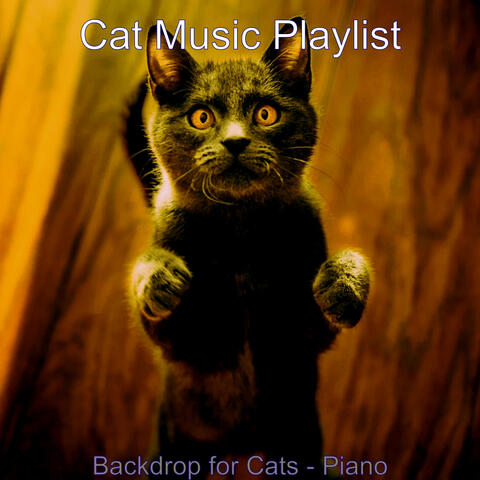 Backdrop for Cats - Piano