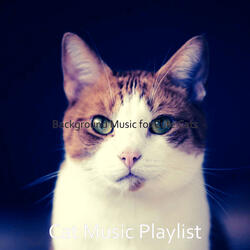 Vivacious Moods for Cute Cats