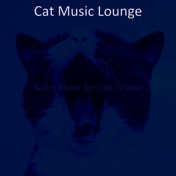 Mind-blowing Relaxing Your Cat