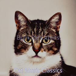 Joyful Ambiance for Resting Cats