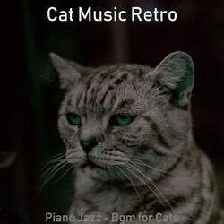 Pulsating Solo Piano Jazz - Vibe for Resting Cats