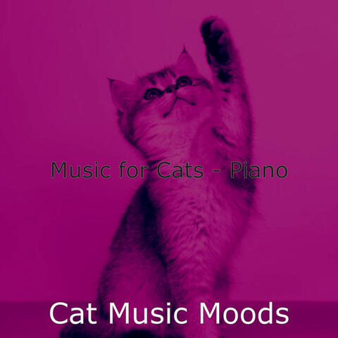 Music for Cats - Piano
