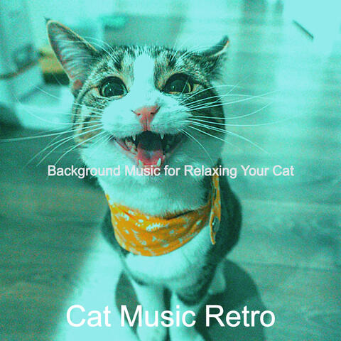 Background Music for Relaxing Your Cat