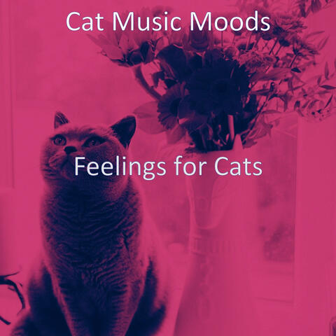 Feelings for Cats