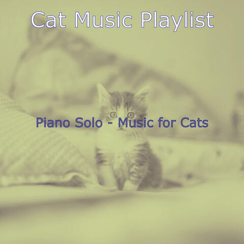 Piano Solo - Music for Cats