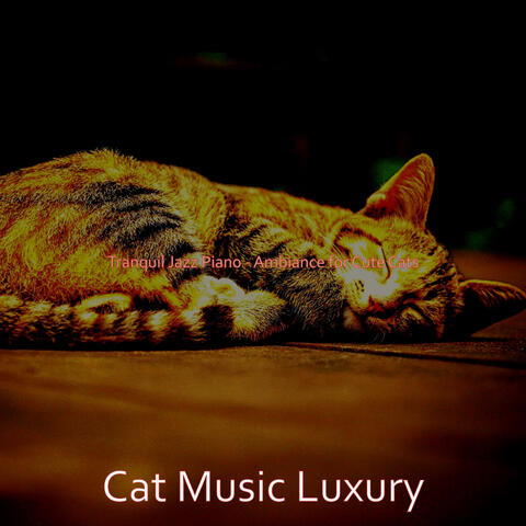 Tranquil Jazz Piano - Ambiance for Cute Cats