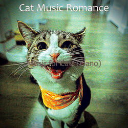 Playful Solo Piano Jazz - Vibe for Resting Cats