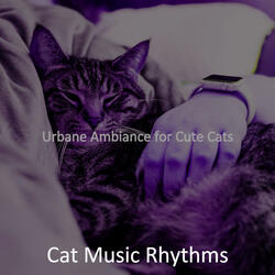 Mellow Moods for Cats