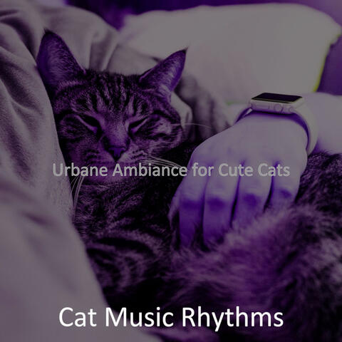 Urbane Ambiance for Cute Cats