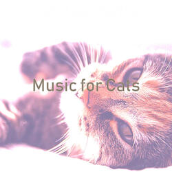 Mellow Music for Relaxing Your Cat