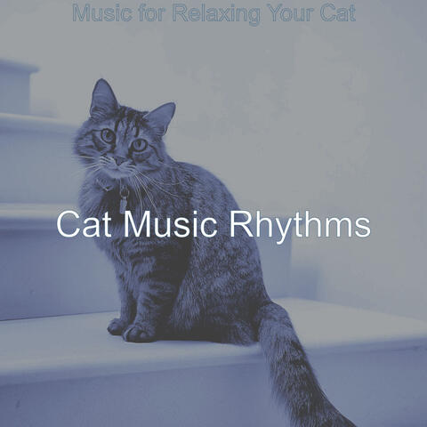 Music for Relaxing Your Cat