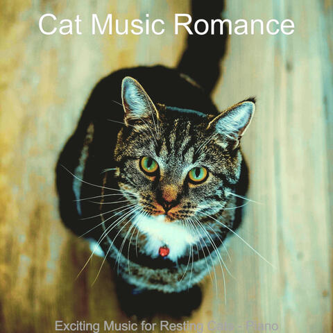 Exciting Music for Resting Cats - Piano