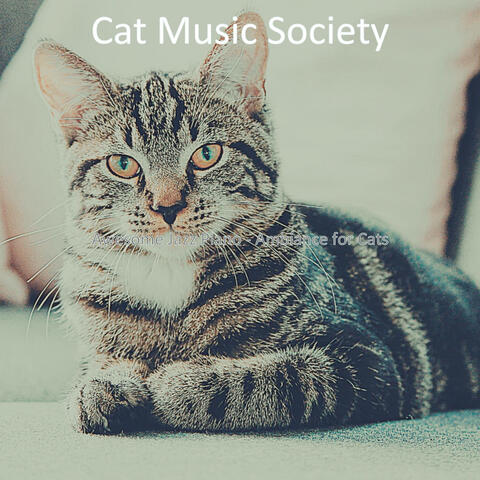 Awesome Jazz Piano - Ambiance for Cats