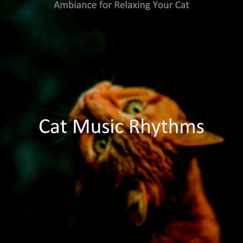 Ambiance for Relaxing Your Cat