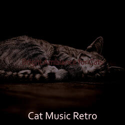 Fun Backdrops for Relaxing Your Cat