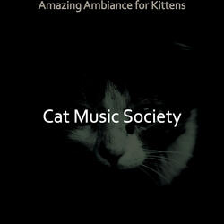 Number One Music for Cute Cats