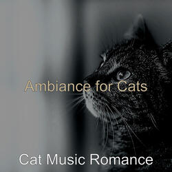 Cultivated Backdrops for Kittens