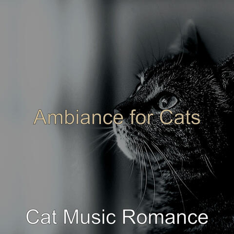 Ambiance for Cats
