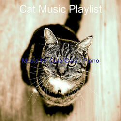 Terrific Ambience for Relaxing Your Cat
