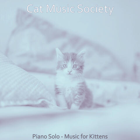 Piano Solo - Music for Kittens