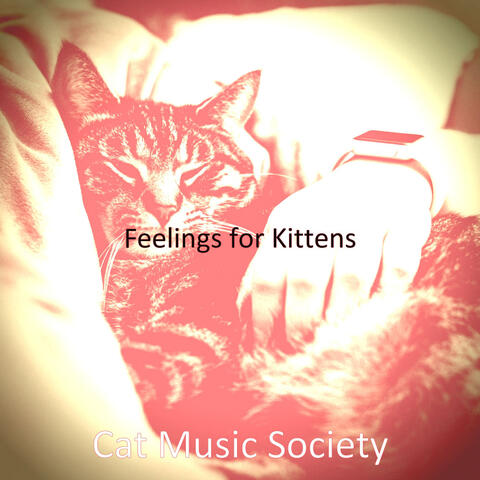 Feelings for Kittens