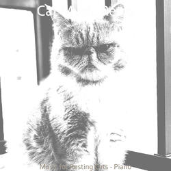 Opulent Music for Relaxing Your Cat
