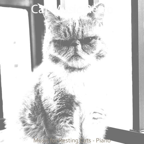 Music for Resting Cats - Piano