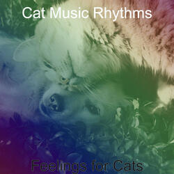 Laid-back Backdrops for Resting Cats