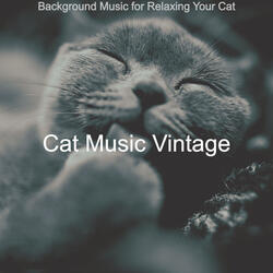 Bright Backdrops for Cute Cats