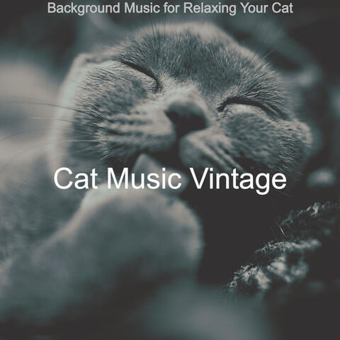 Background Music for Relaxing Your Cat