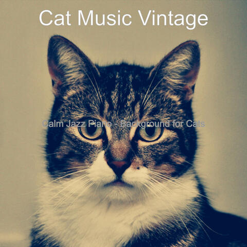 Calm Jazz Piano - Background for Cats