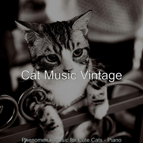 Phenomenal Music for Cute Cats - Piano