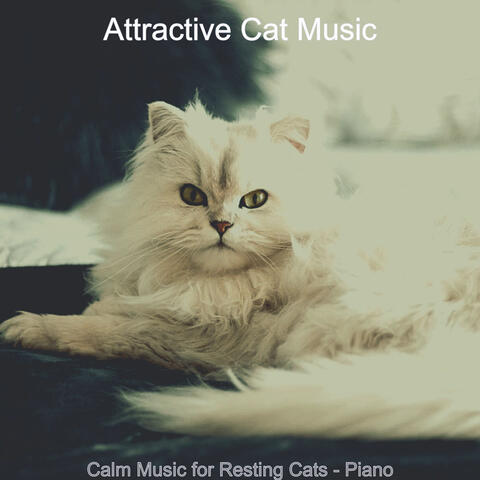 Calm Music for Resting Cats - Piano