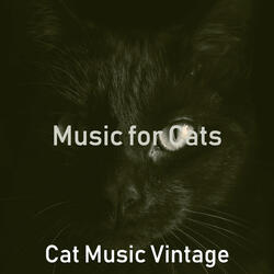 Joyful Backdrops for Relaxing Your Cat