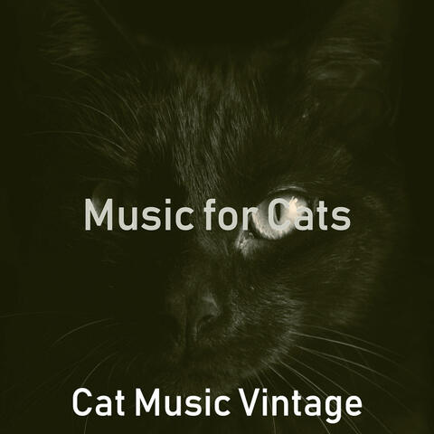 Music for Cats