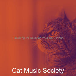 Marvellous Ambiance for Cats