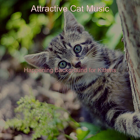 Happening Background for Kittens