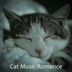 Incredible Ambiance for Cute Cats