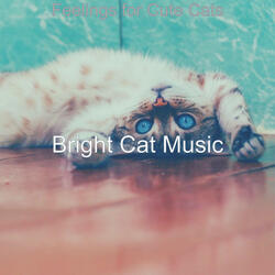 Background for Cats
