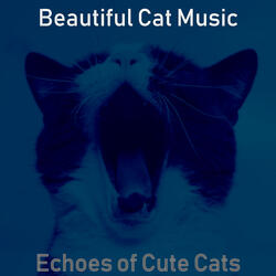 Piano Jazz Soundtrack for Relaxing Your Cat