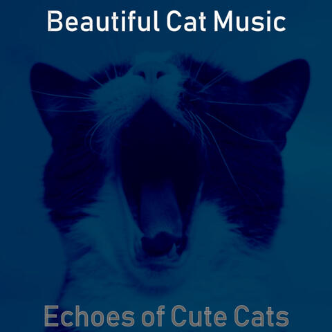 Echoes of Cute Cats
