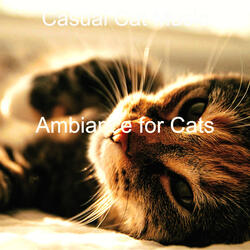 Dream Like Ambience for Relaxing Your Cat