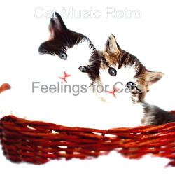 Stylish Backdrops for Relaxing Your Cat