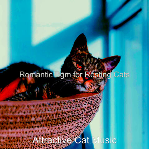 Romantic Bgm for Resting Cats