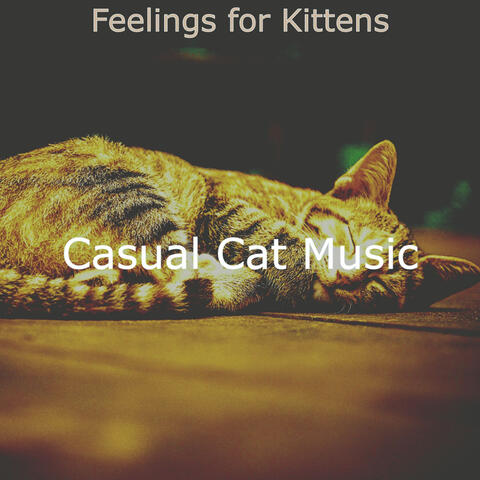 Feelings for Kittens