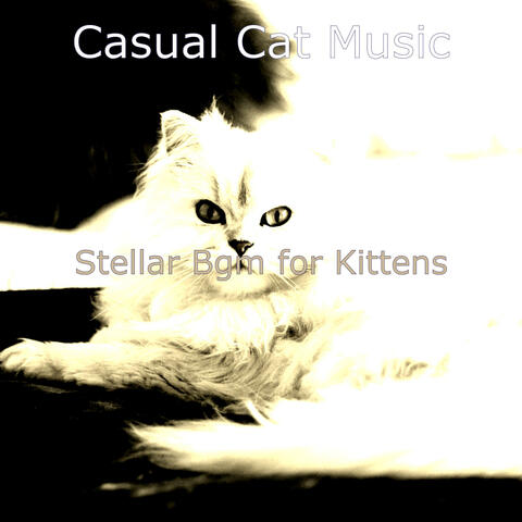 Stellar Bgm for Kittens