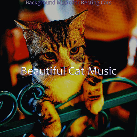 Background Music for Resting Cats