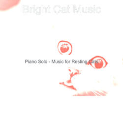 Piano Jazz Soundtrack for Cute Cats